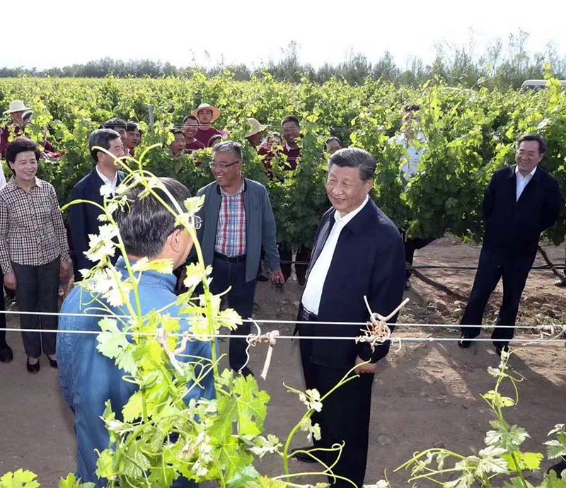 1603159133287207.jpg 1.jpg